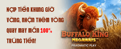 Hoàn Trả VIP Không Giới Hạn promotion